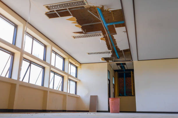Best Flooded house restoration  in Nuevo, CA
