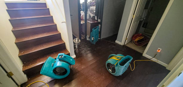 Best Water damage cleanup near me  in Nuevo, CA