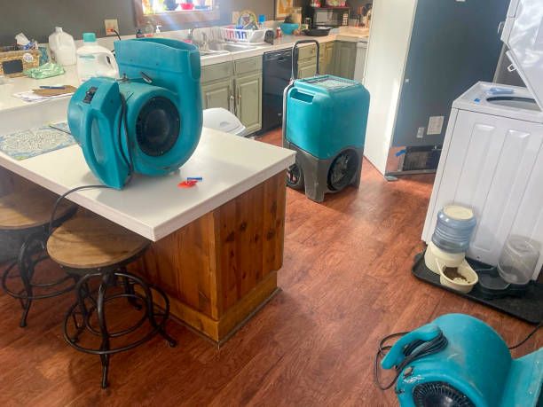 Best Professional water damage repair  in Nuevo, CA