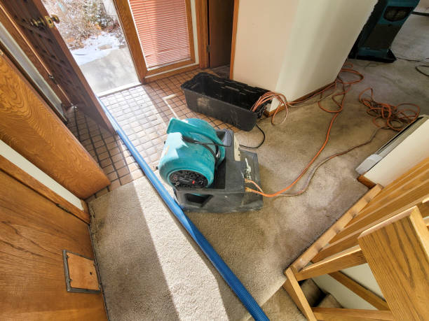 Best Carpet water damage restoration  in Nuevo, CA