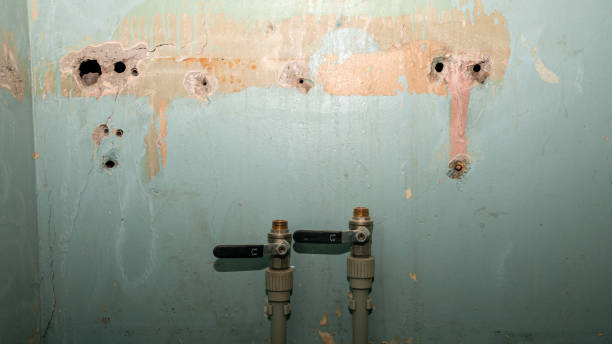 Best Water damage contractors near me  in Nuevo, CA