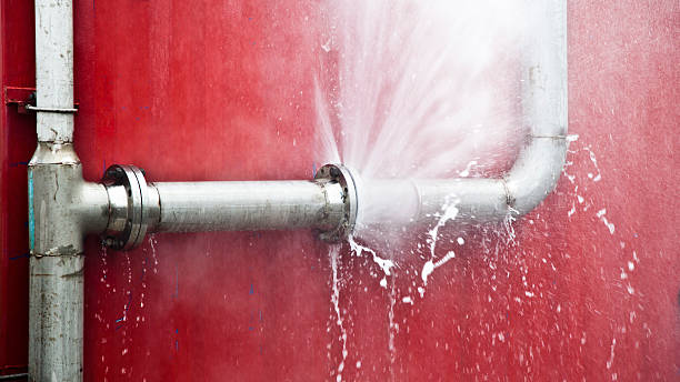 Best Water damage cleanup near me  in Nuevo, CA